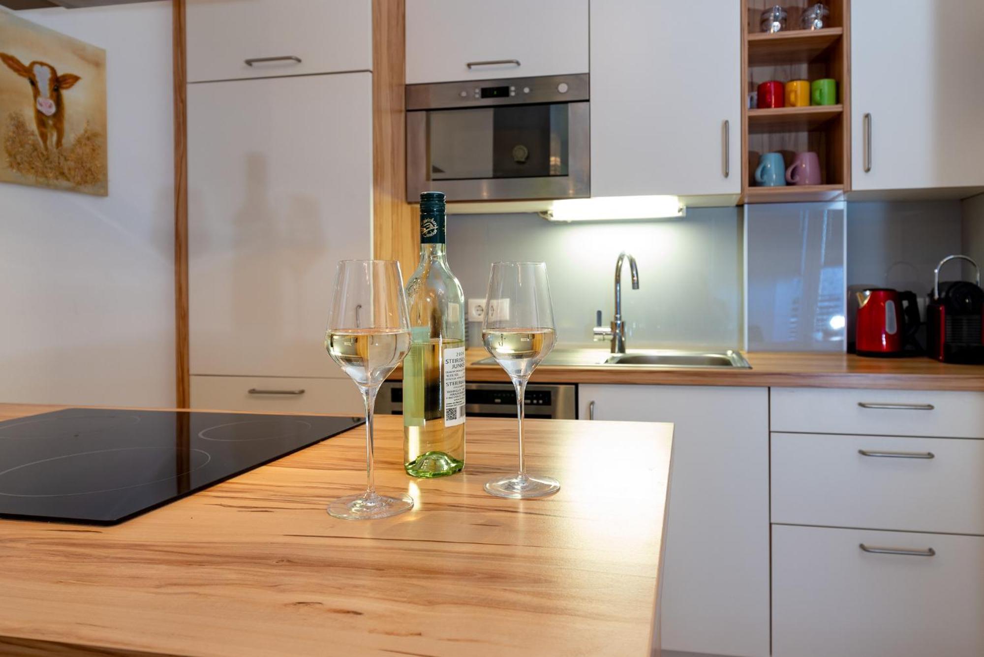 Appartement Klosterhuegel ハウス・イム・エンスタール エクステリア 写真